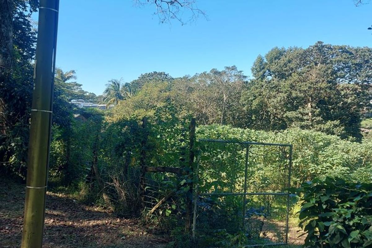 Stunning Vacant Land in Prime Hillcrest Location - Photo 5