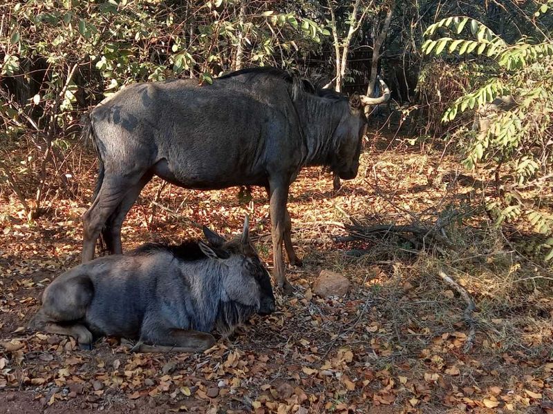 Build Your Ideal Home Here - Photo 3