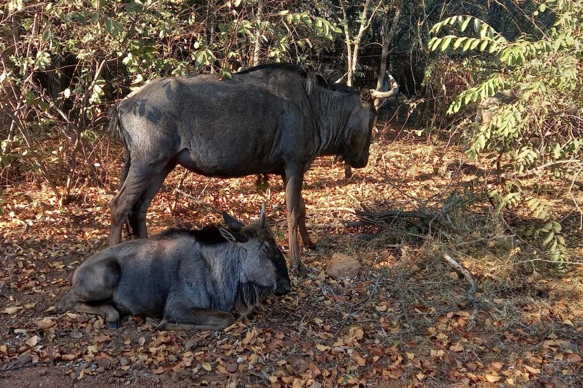 Build Your Ideal Home Here - Photo 3