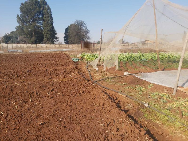 Massive Agricultural property with vegetable gardens and chicken coops - Photo 5