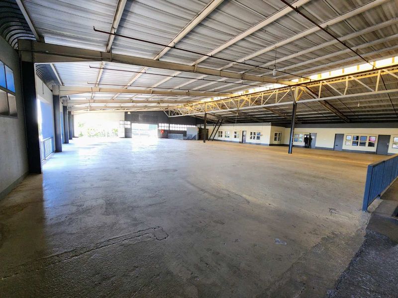 High Exposure Automotive & Retail Power Site on Steve Biko Road – 5,500m2 Mixed Use Facility - Photo 6