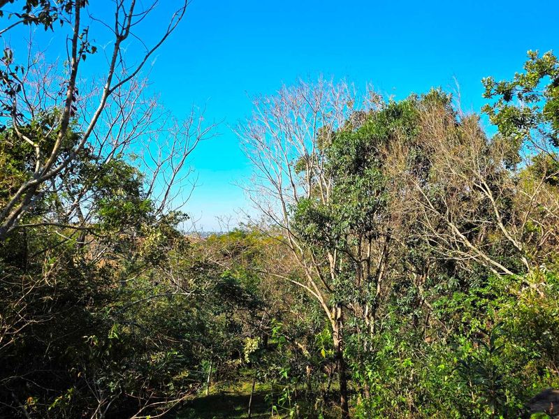 Land for Sale with Spectacular Views over Kloof Gorge - Photo 6