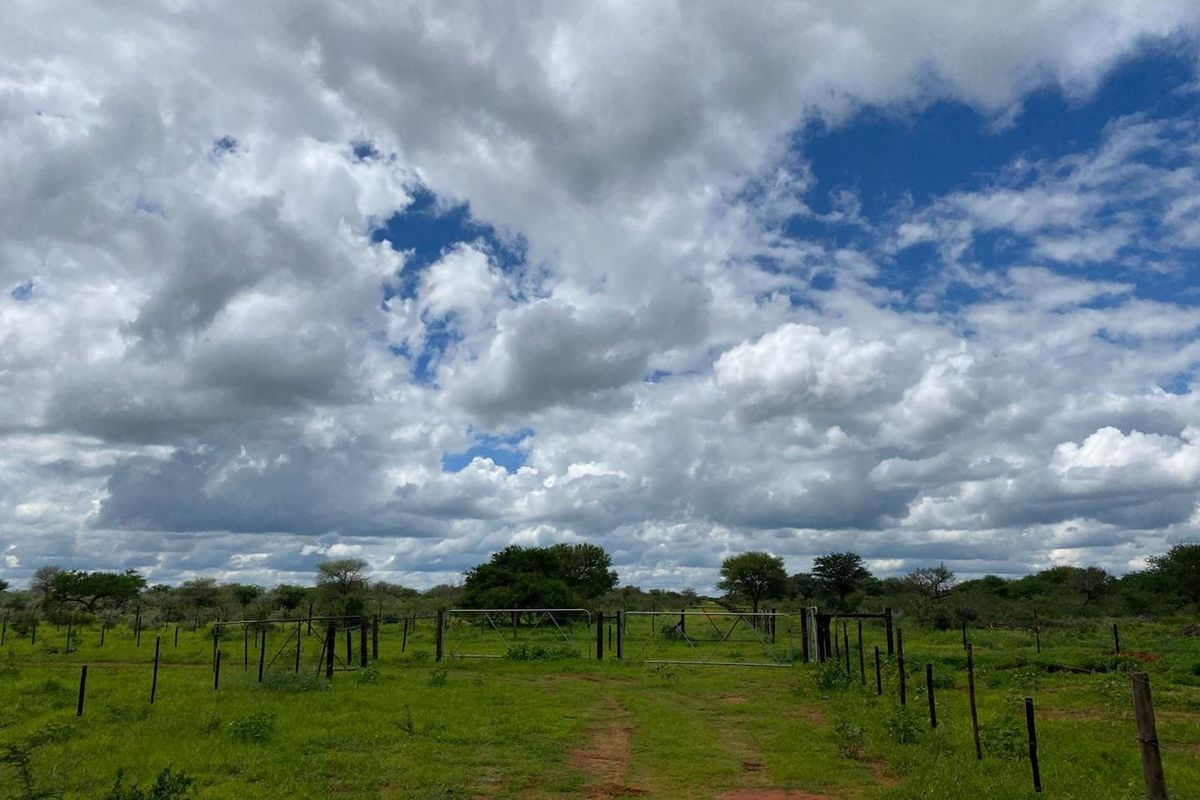 Space is one of the last true luxuries. Here, you’ll find plenty of it — together with the peace, privacy, and potential that make rural living so rewarding. - Photo 3