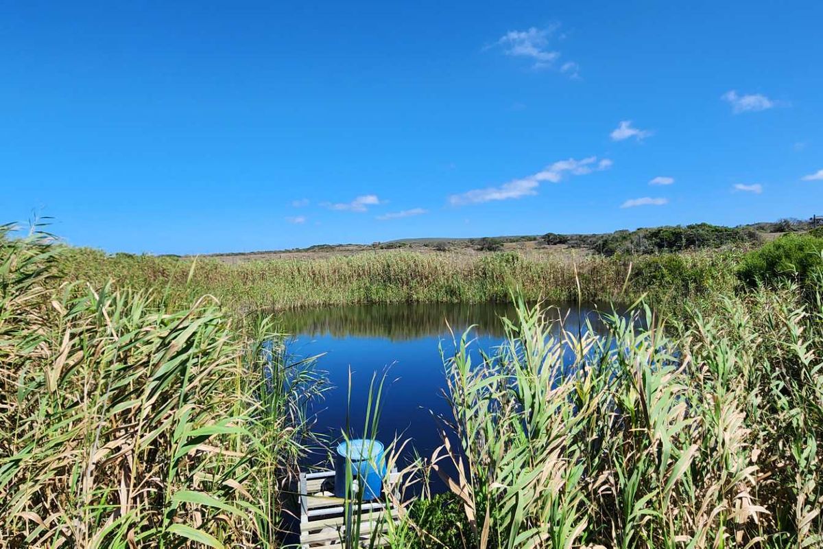 Indian ocean seafront property - Photo 3