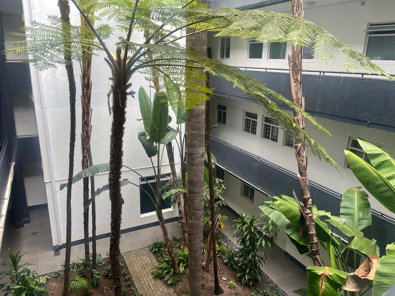 3 Bedroom Apartment with Parking, Steps from the Promenade - Photo 10