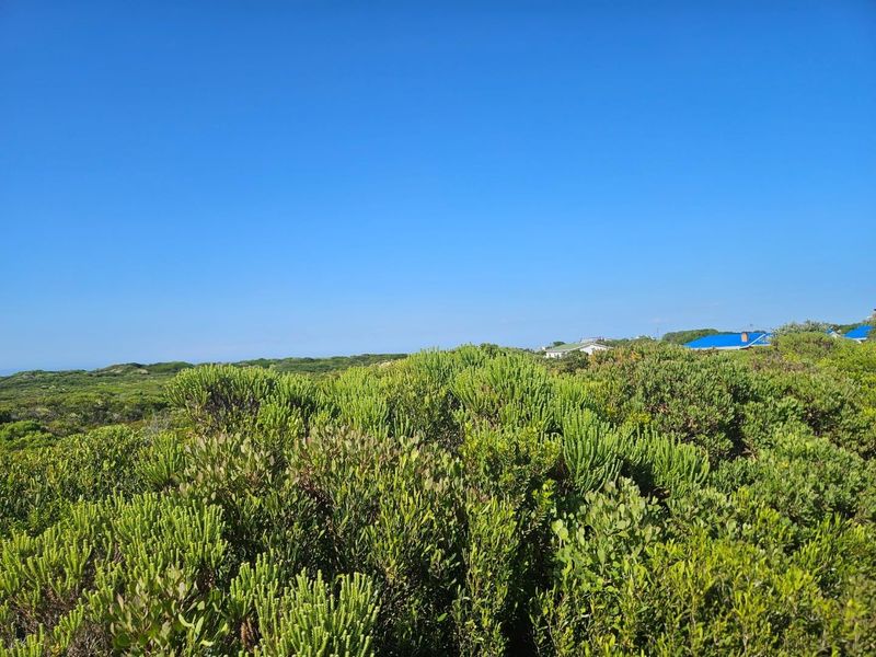 Business Opportunity - Photo 6