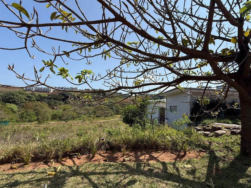 A view of a residential garden featuring a large mature tree, natural lawn, and surrounding landscape views.
