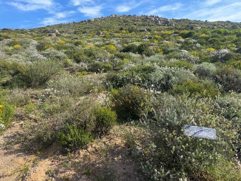 Coastal Stand for Sale – St Helena Views Phase 2 - Photo 2