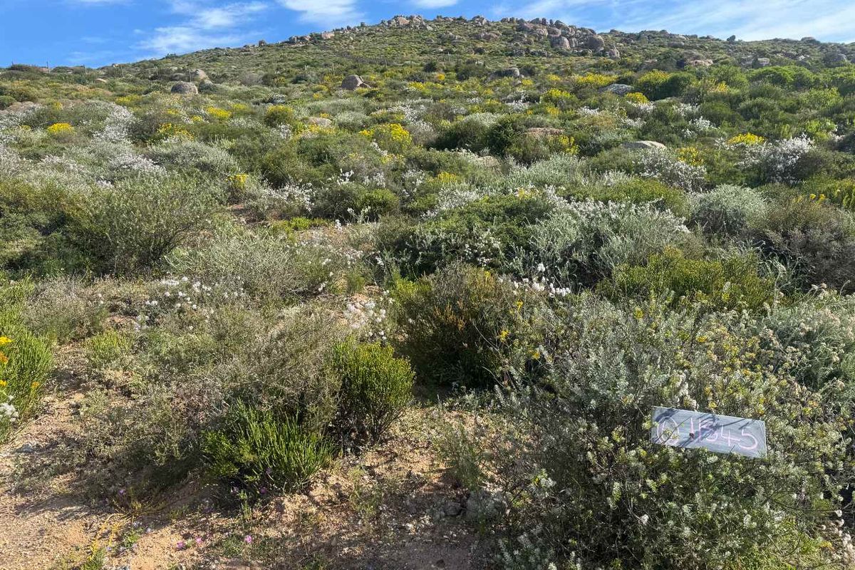 Coastal Stand for Sale – St Helena Views Phase 2 - Photo 2