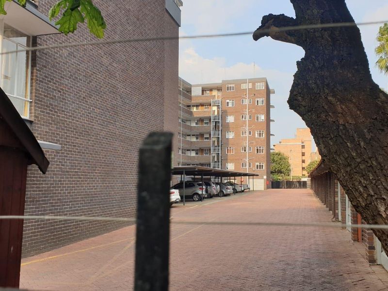 "Beauty & Neatness" Personified - Photo 3