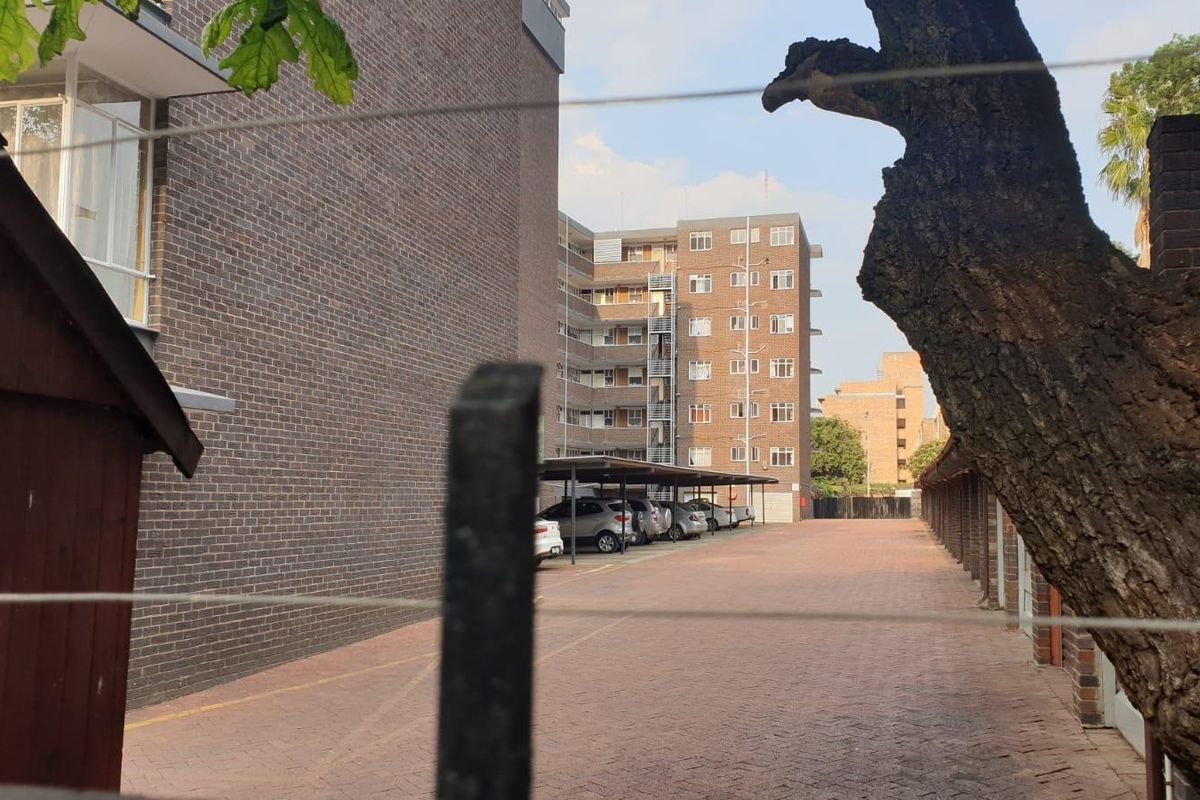 "Beauty & Neatness" Personified - Photo 3