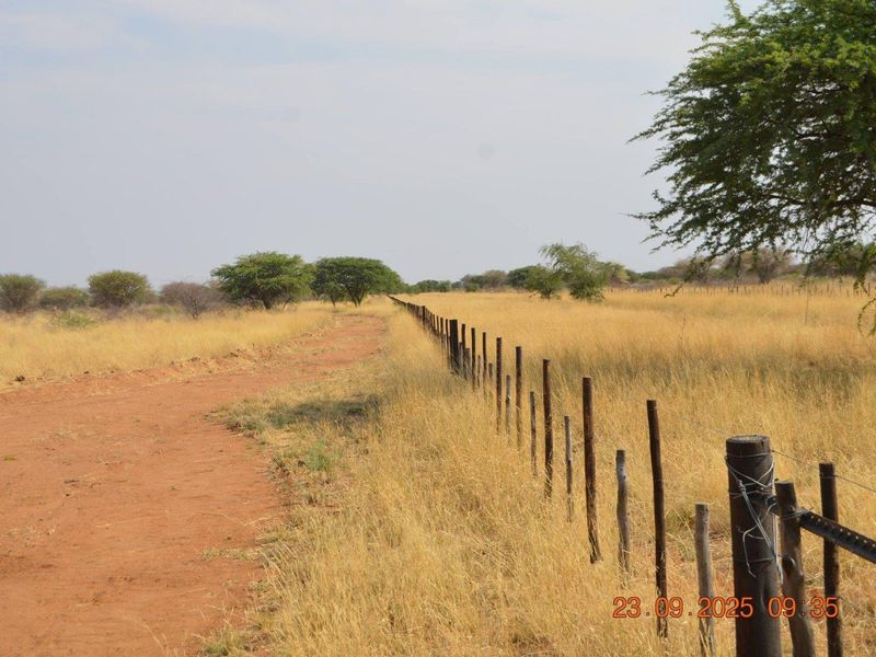 BIG PLOTS AHEAD & UP FOR SALE !! - Photo 4