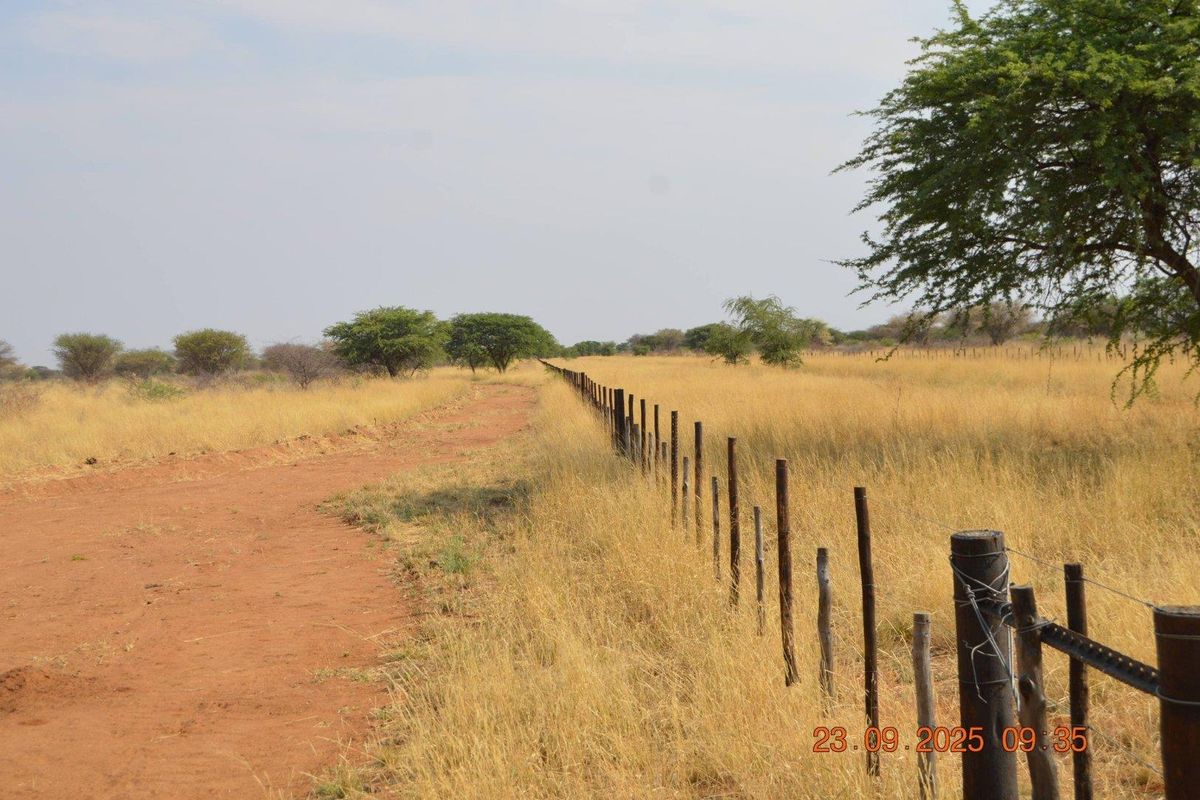 BIG PLOTS AHEAD & UP FOR SALE !! - Photo 4