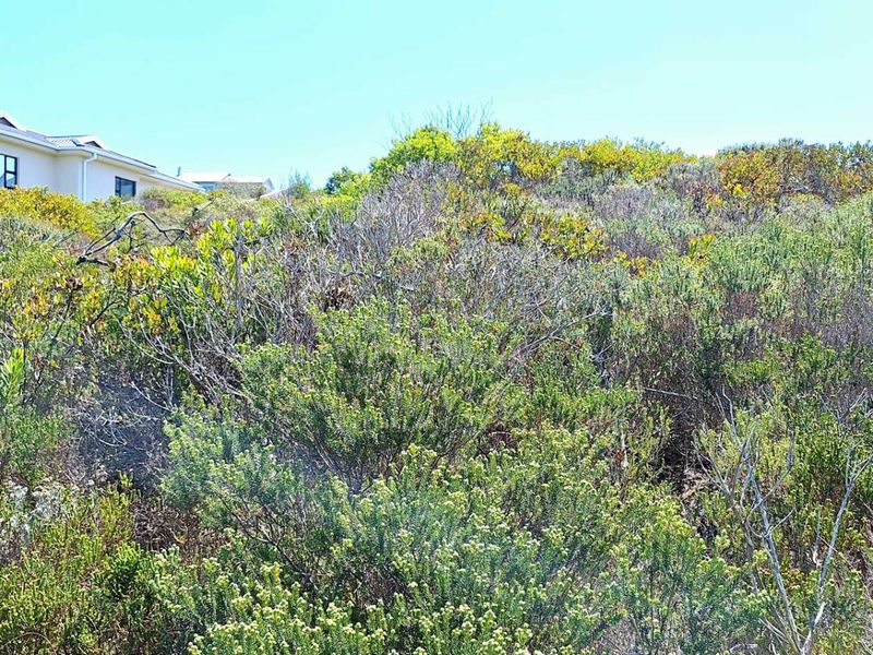980m2 Vacant Land in Village on Sea Estate - Photo 4