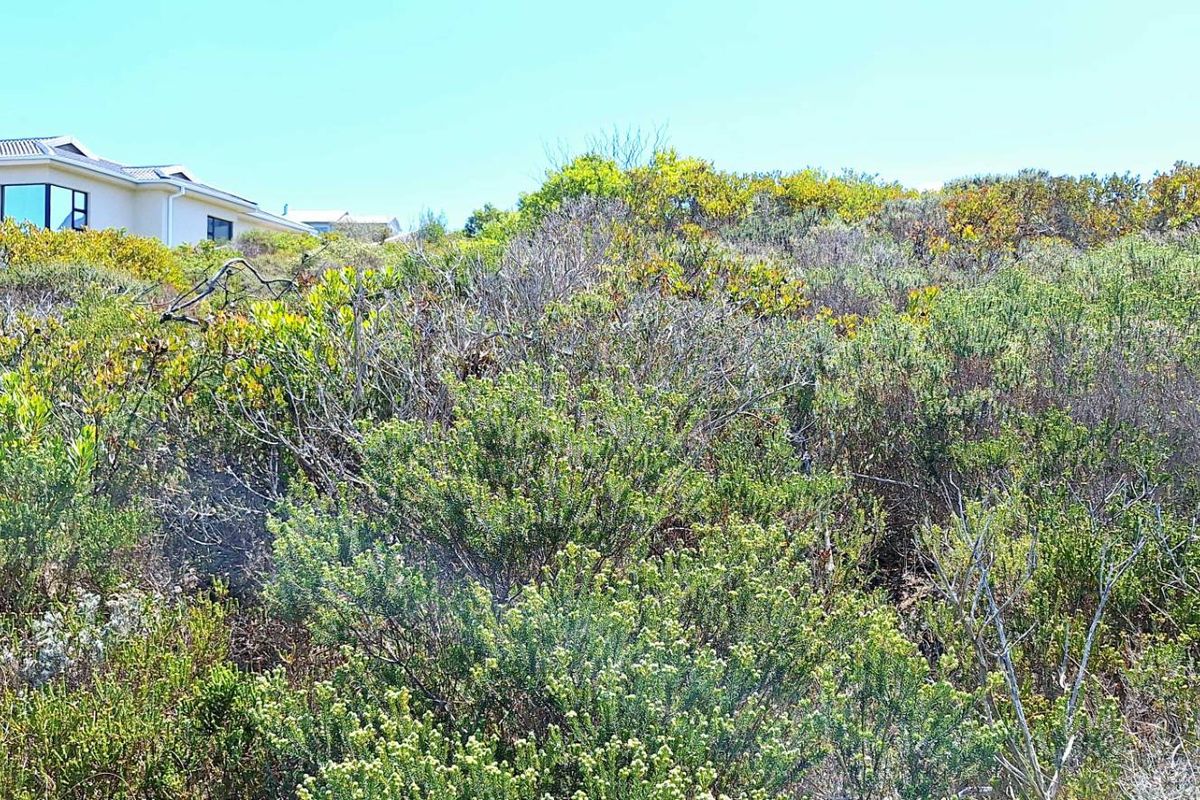 980m2 Vacant Land in Village on Sea Estate - Photo 4