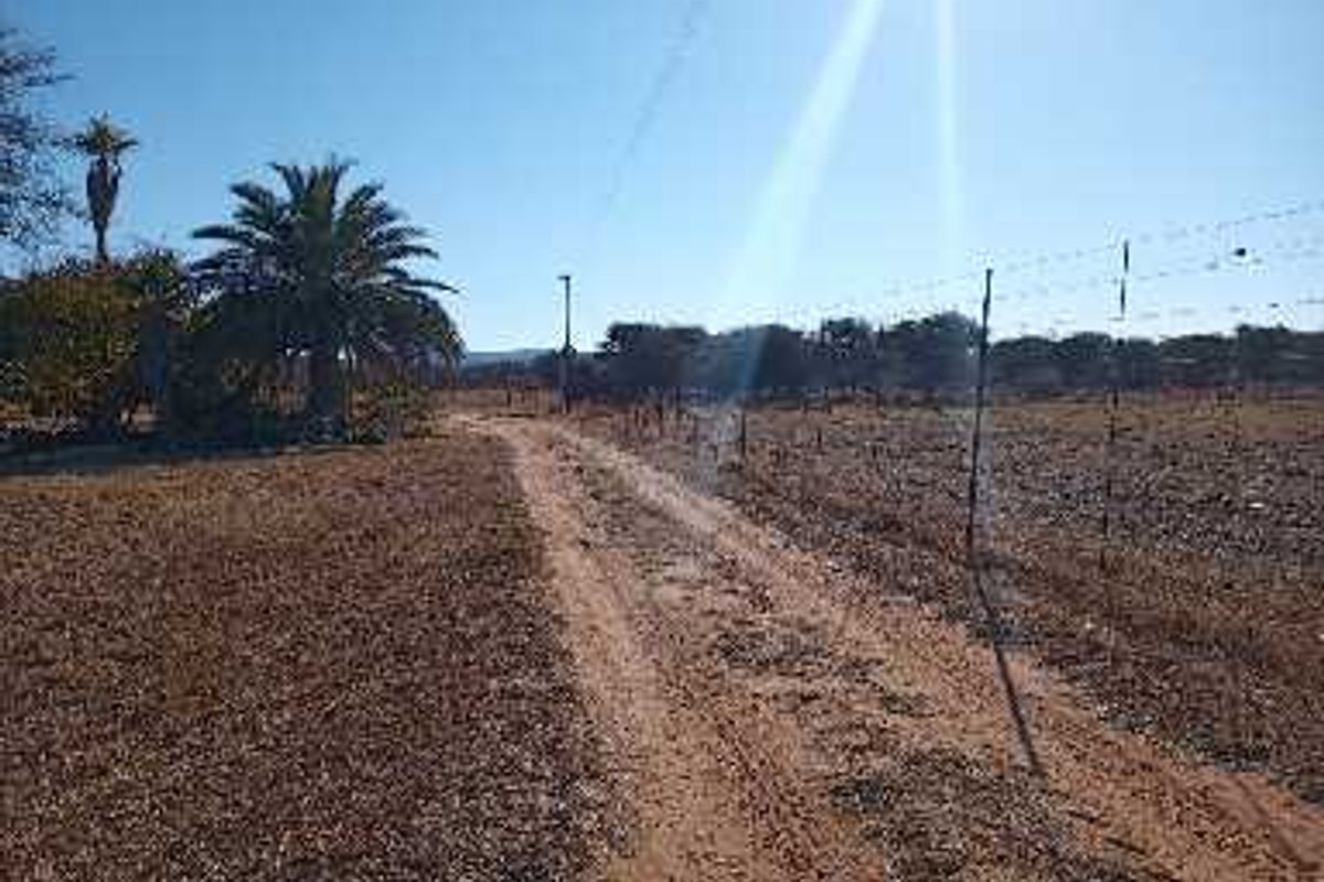 Prime 78-Hectare Farm: Comfort and Convenience Near Naboomspruit - Photo 4