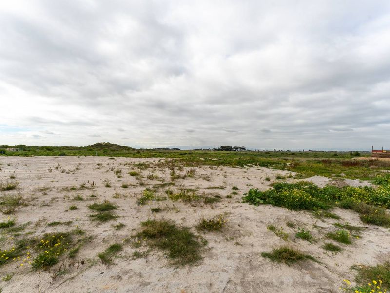 Unique 1000sqm Land for Sale – Perfect for Home or Business - Photo 6