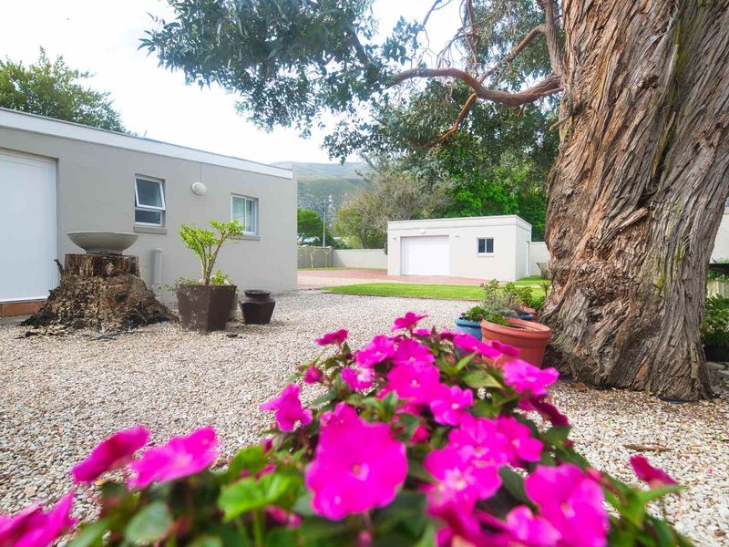 AN EXTRAORDINARY HOME - Photo 2