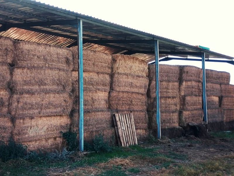 PIVOT POINT WITH 15 HEKT LUCERN .READ POSSIBILITIES BELOW PLEASE - Photo 2