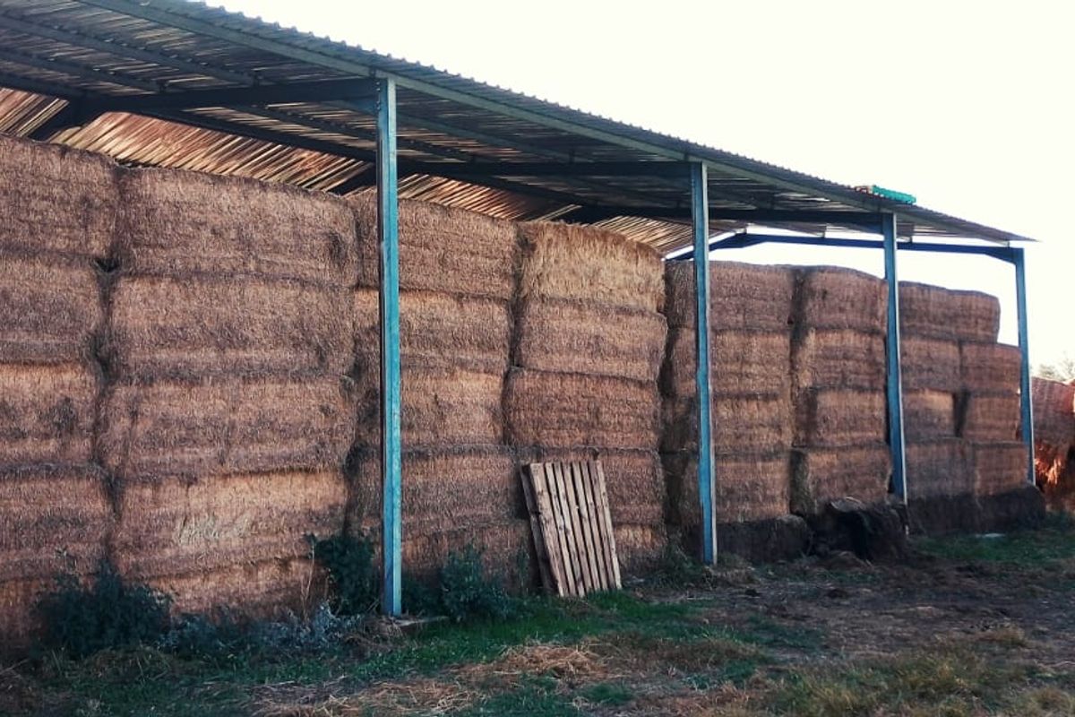 PIVOT POINT WITH 15 HEKT LUCERN .READ POSSIBILITIES BELOW PLEASE - Photo 2