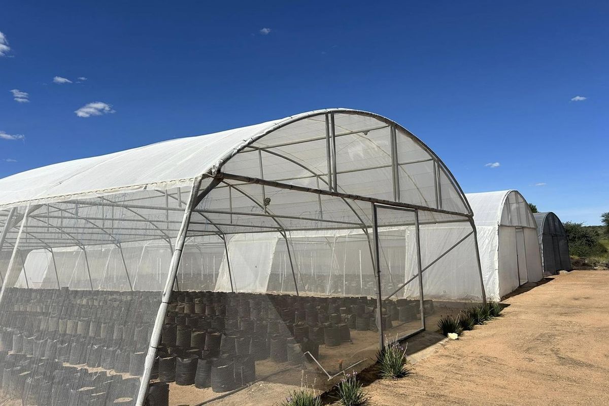 Welcome to a unique smallholding situated approximately 36 km east of Windhoek - Photo 5