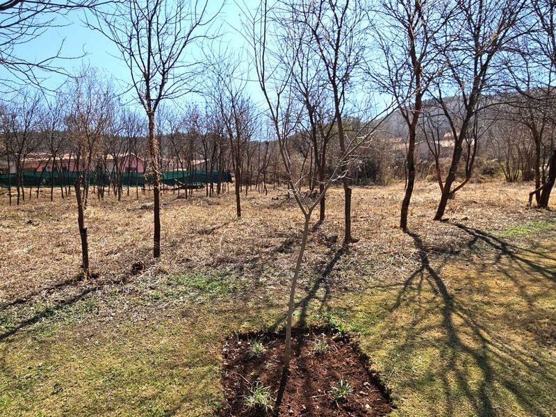 Vacant Stand in Estate d Afrique - Photo 4