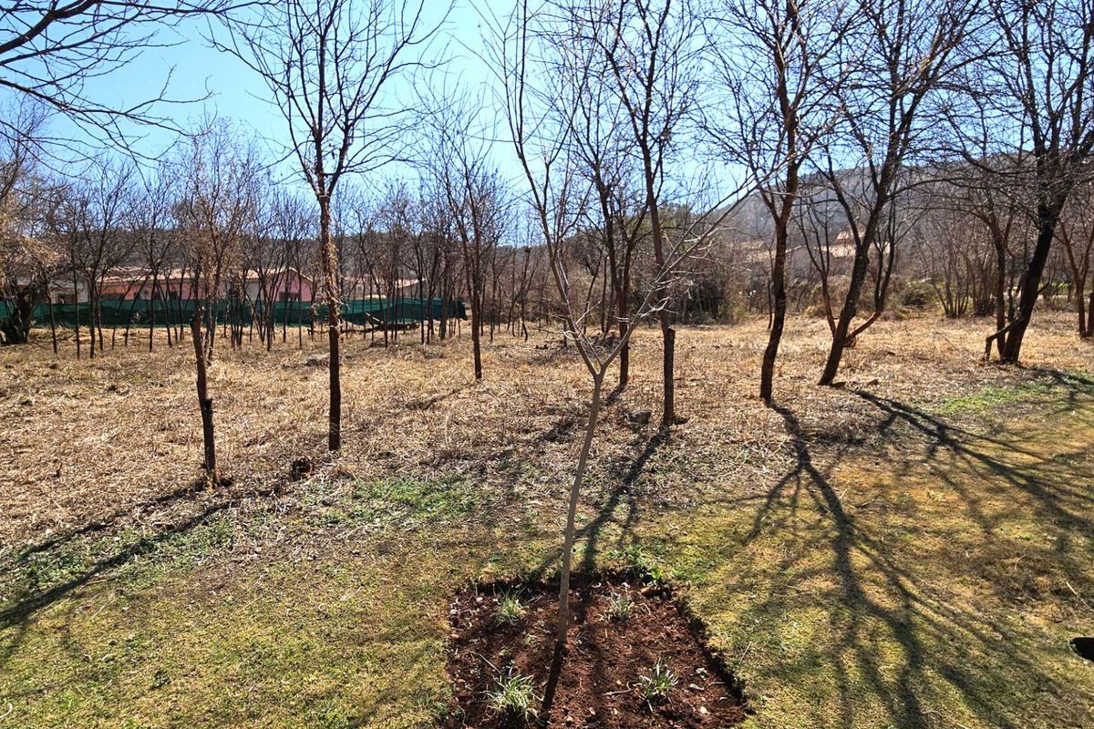 Vacant Stand in Estate d Afrique - Photo 4