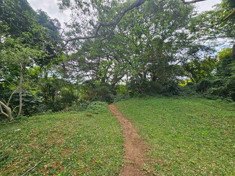 Unleash Your Coastal Business Dreams: A Prime Dual-Property Investment Opportunity in St Lucia, South Africa - Photo 5