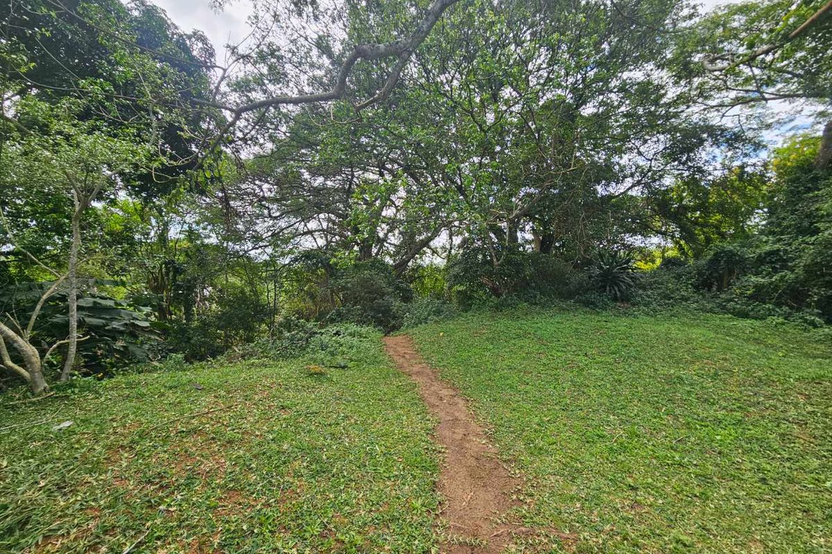 Unleash Your Coastal Business Dreams: A Prime Dual-Property Investment Opportunity in St Lucia, South Africa - Photo 5