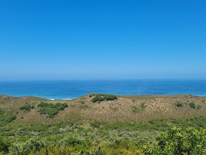 Natures dream - Photo 6