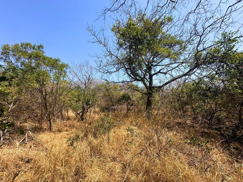 Vacant Stand with Mountain views - Photo 9