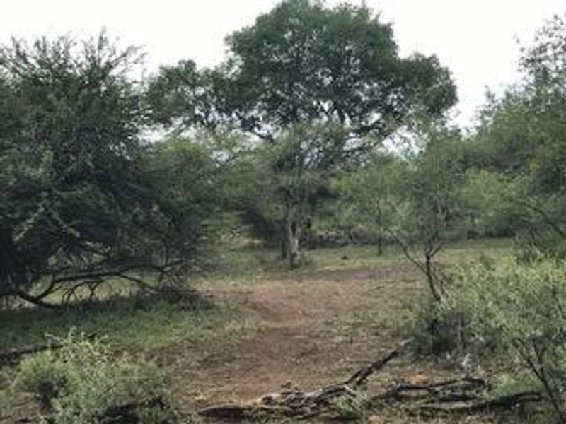**A Rare Opportunity to Own a Piece of Paradise in Buffelsdrift Game Reserve** - Photo 8