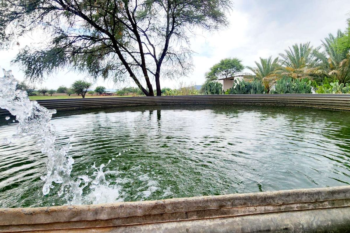 Prime Plot for Sale with strong water! 11 Hectares Nestled near the banks of Swakop River, just 8km West of Okahandja! Your Perfect Opportunity Awaits! - Photo 3