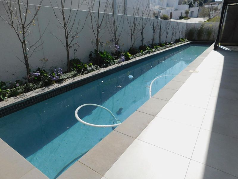 A narrow lap pool featuring a tiled surround and a landscaped garden border along the boundary wall.