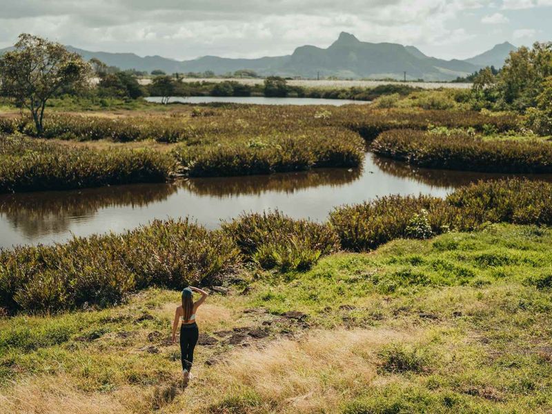 Villa Merea : Tropical Minimalist Living in a Preserved Sanctuary - Photo 8
