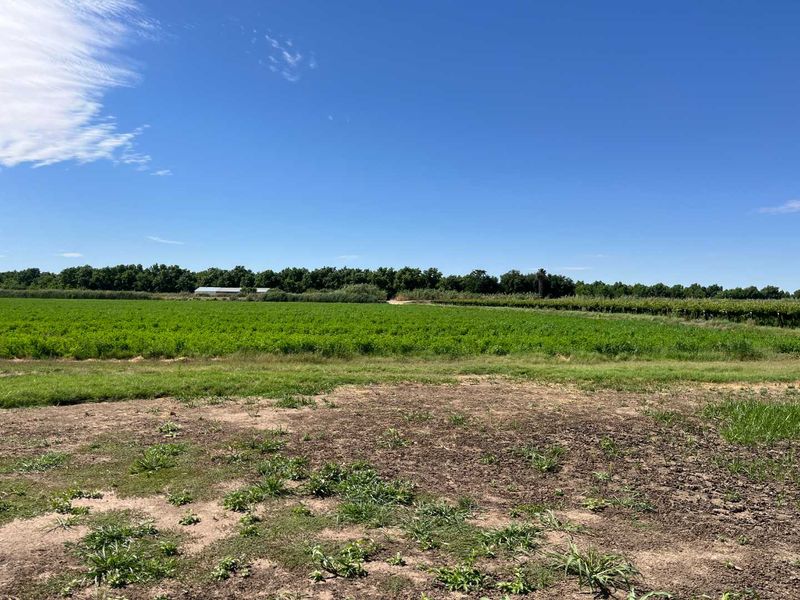 Prime 26 ha Agricultural Property plus 1.5ha building plot for Sale - Photo 2