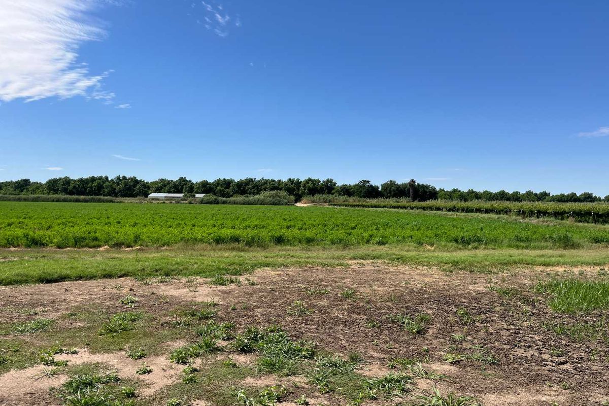 Prime 26 ha Agricultural Property plus 1.5ha building plot for Sale - Photo 2