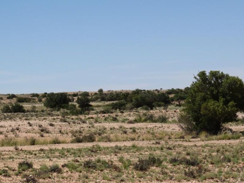EXQUISITE FARM FOR SALE IN THE SOUTH OF NAMIBIA - Photo 6