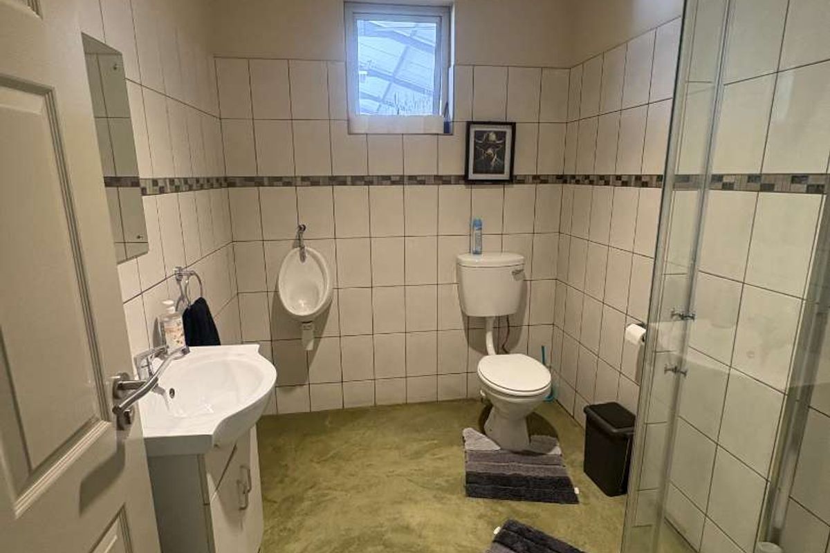 Functional bathroom featuring a pedestal basin, toilet, wall-mounted urinal, and a glass-enclosed shower with tiled walls.