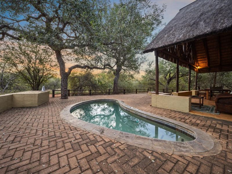 You’ve arrived to the peace and tranquility of the African bush! - Photo 4