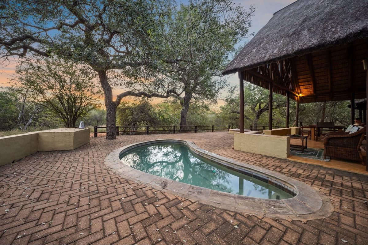 You’ve arrived to the peace and tranquility of the African bush! - Photo 4
