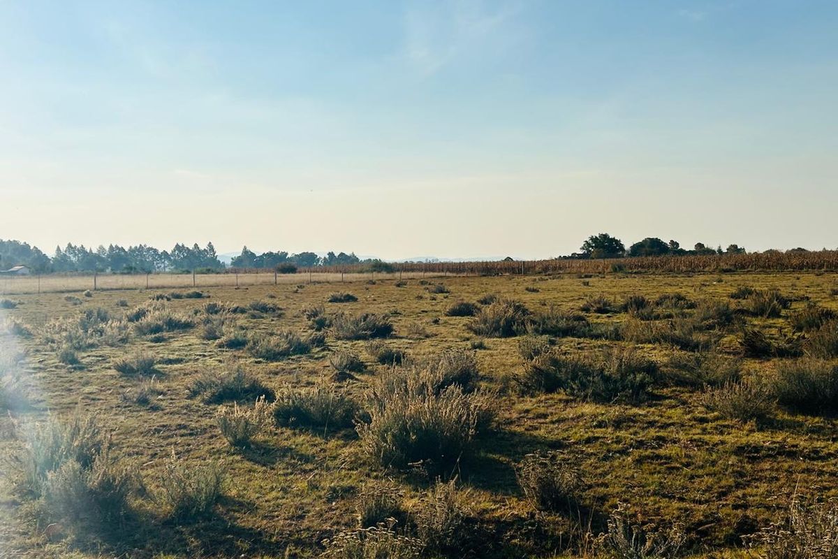 Vacant land - Photo 2
