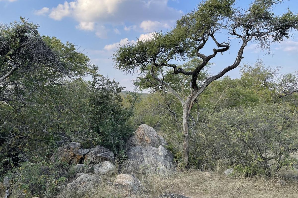 Exclusivity and quietness is the name of the game. - Photo 2