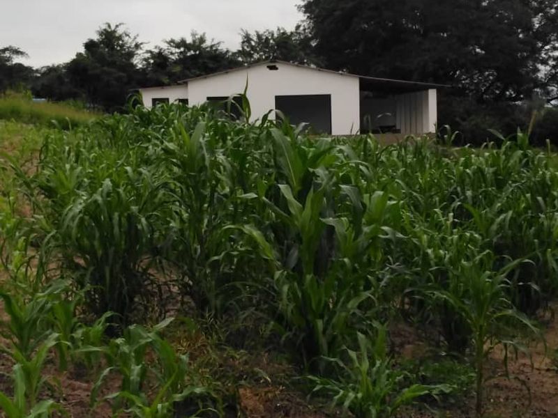 PERFECTLY LOCATED RIVER VIEW PLOT – RUNDU AREA KAVANGO EAST REGION - Photo 8