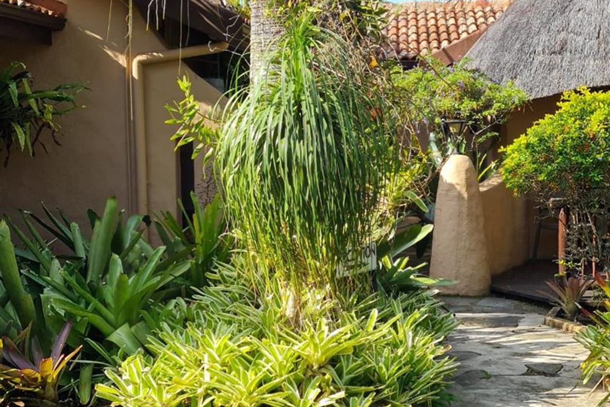 STYLISH PROPERTY! - Photo 2