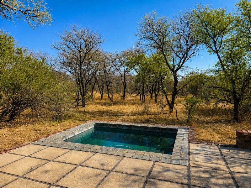 A compact plunge pool set within a tiled patio area, overlooking a natural bushveld landscape.