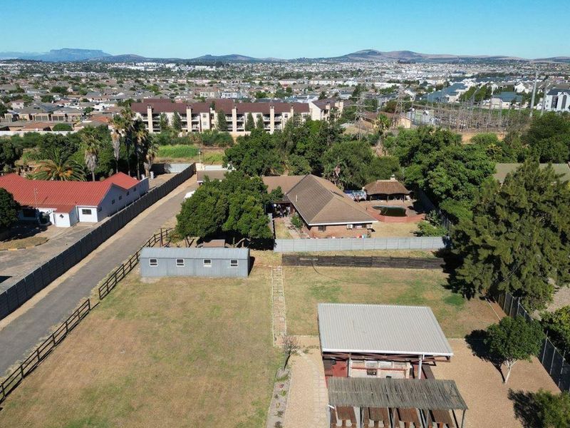 Pristine Smallholding – Lifestyle, Business & Investment Opportunity - Photo 3