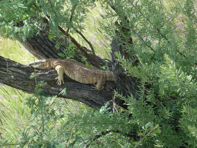 Woodlands Wildlife Estate - Photo 7