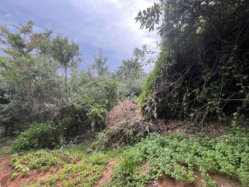 Prime Vacant Land in Zimbali – One of the Last Remaining Opportunities. - Photo 5