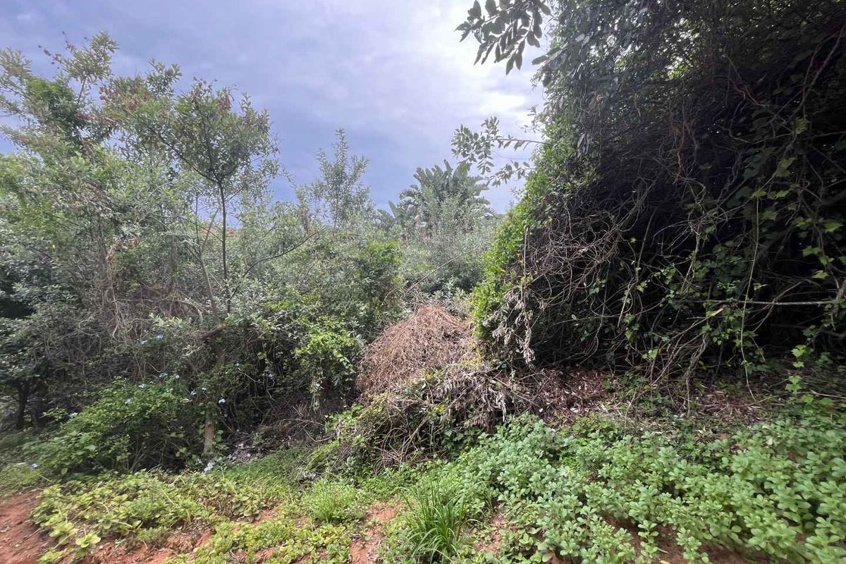 Prime Vacant Land in Zimbali – One of the Last Remaining Opportunities. - Photo 5